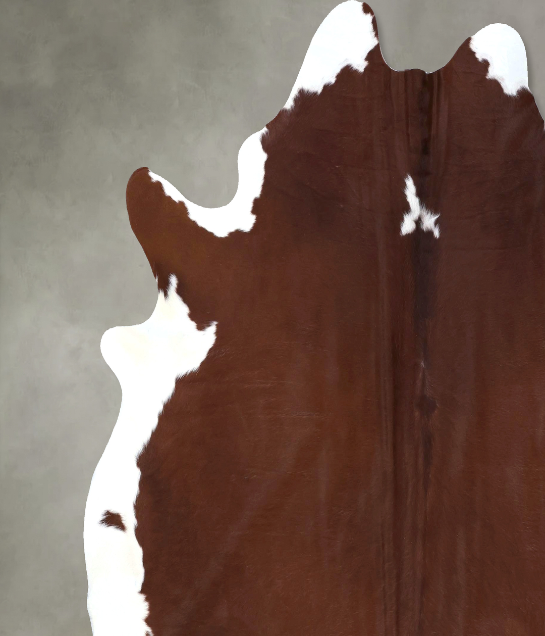 Brown and White Regular XX-Large Brazilian Cowhide Rug 8'0"H x 7'2"W #