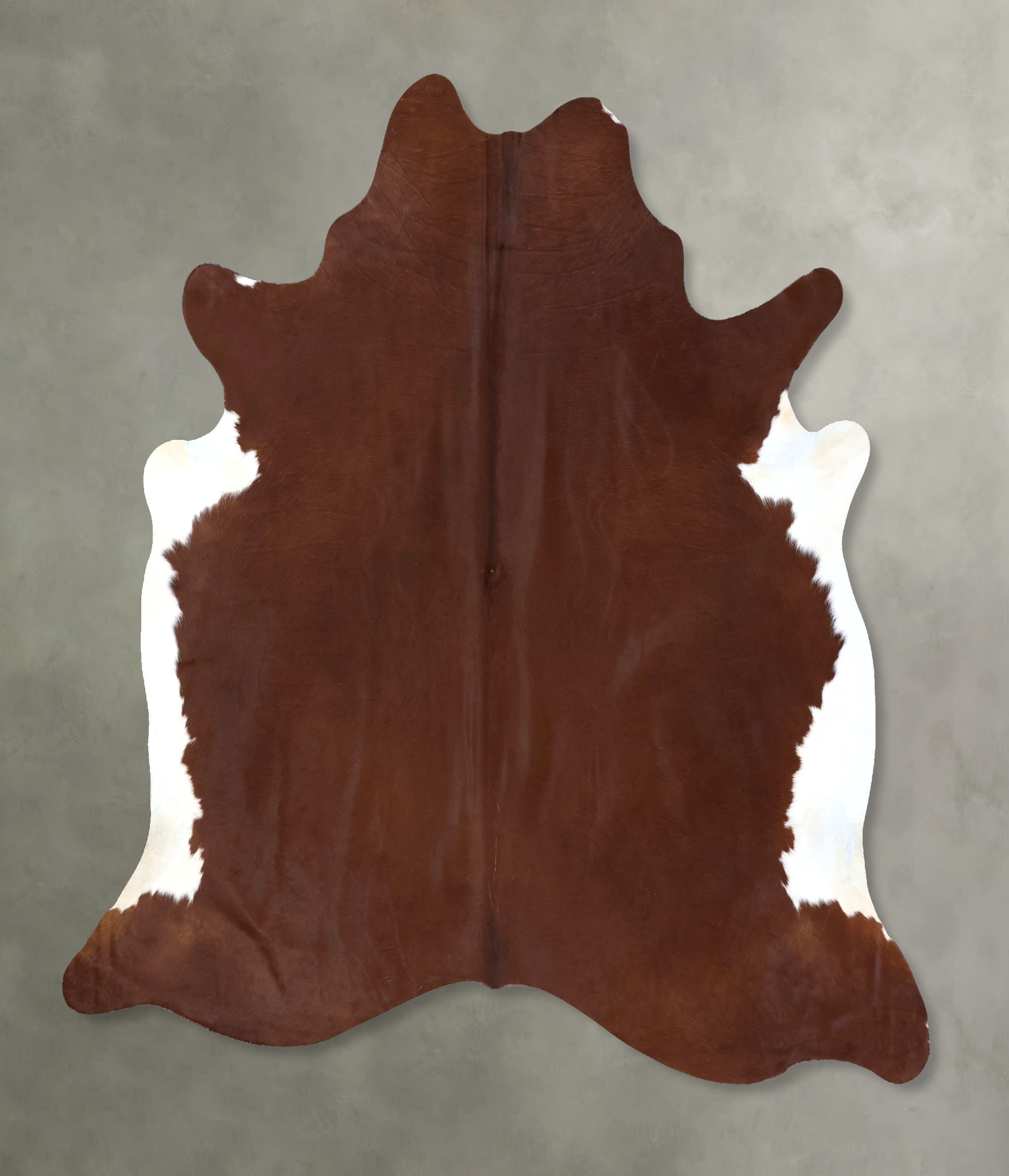 Brown and White Regular Cowhide Rug #B19837