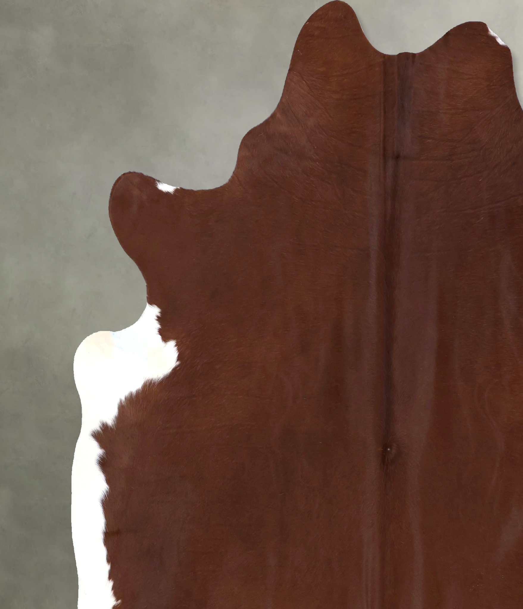 Brown and White Regular Cowhide Rug #B19837