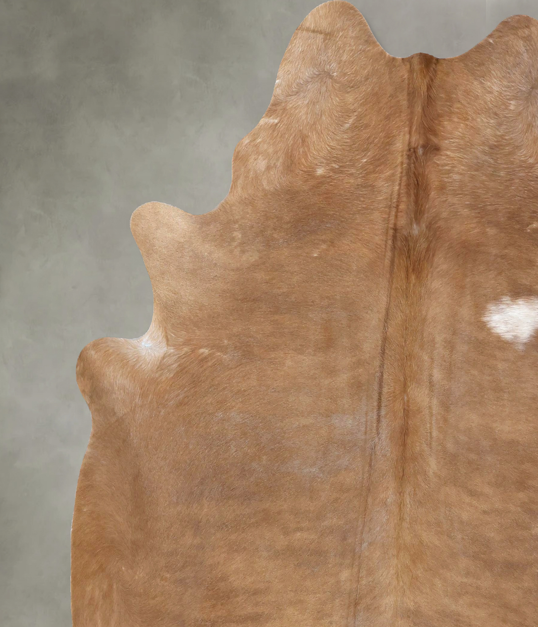 Light Caramel XX-Large Brazilian Cowhide Rug 8'3"H x 7'0"W #B19842 by 