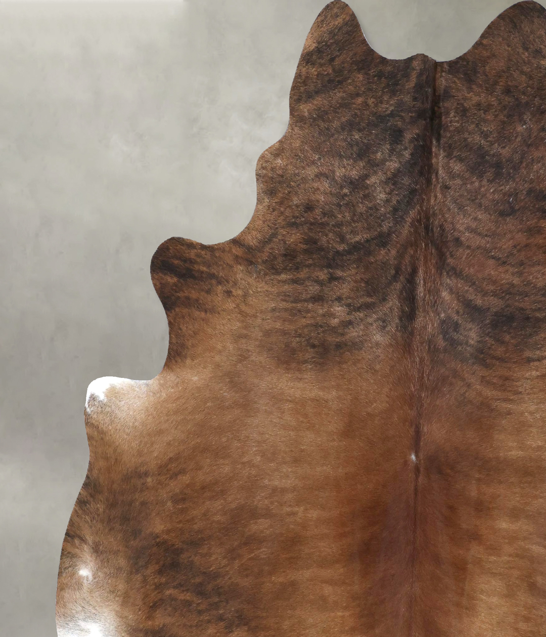 Medium Brindle XX-Large Brazilian Cowhide Rug 7'9"H x 6'10"W #B19844 b