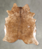 Light Caramel XX-Large Brazilian Cowhide Rug 7'7