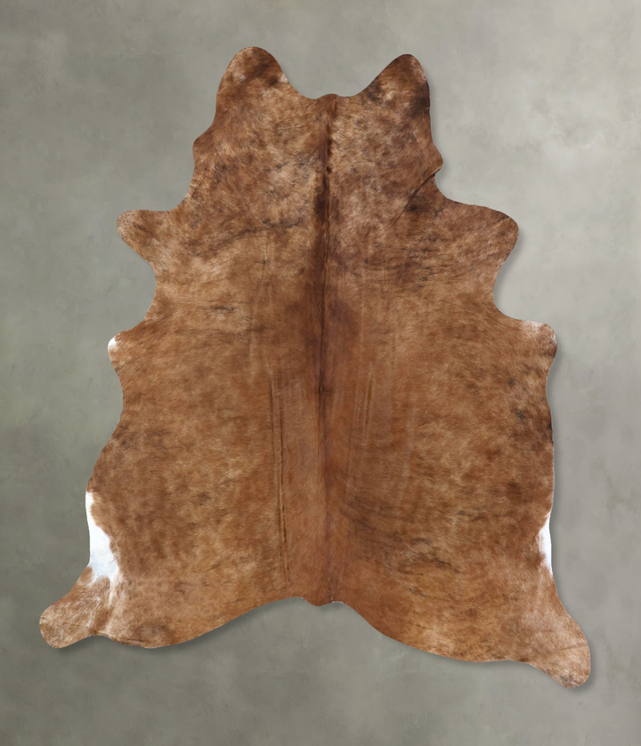 Medium Brindle XX-Large Brazilian Cowhide Rug 7'9"H x 6'7"W #B19849 by Hudson Hides