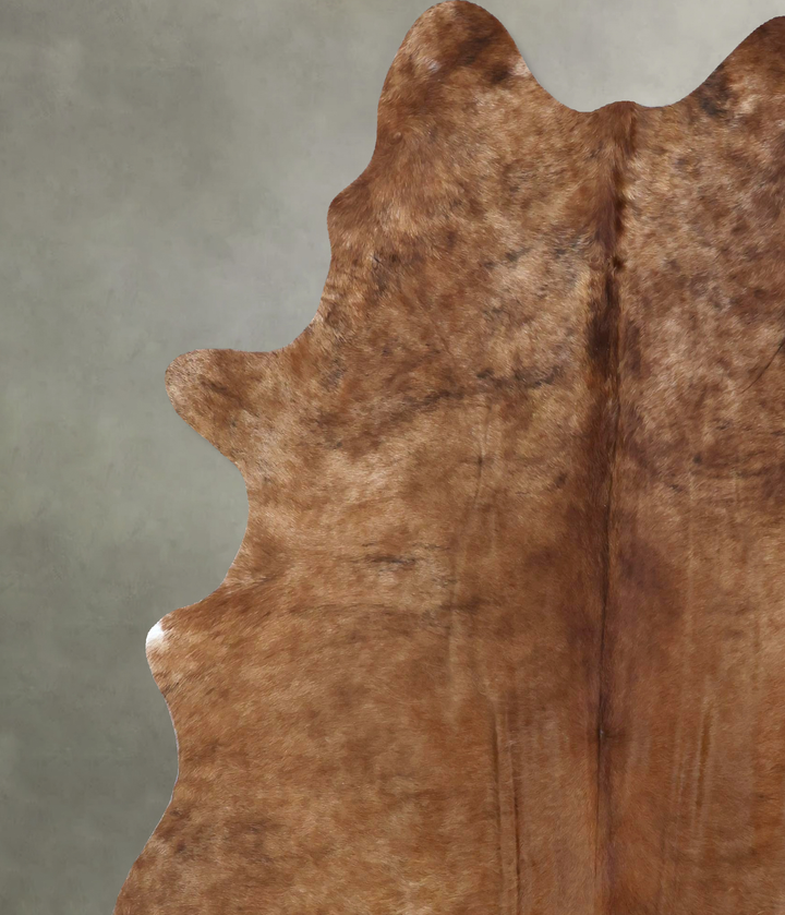 Medium Brindle XX-Large Brazilian Cowhide Rug 7'9"H x 6'7"W #B19849 by Hudson Hides