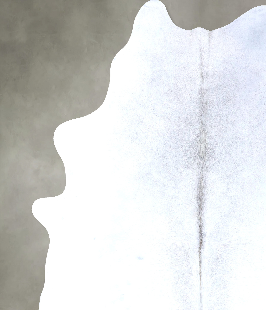 Light Grey XX-Large Brazilian Cowhide Rug 8'3"H x 7'0"W #B19850 by Hud