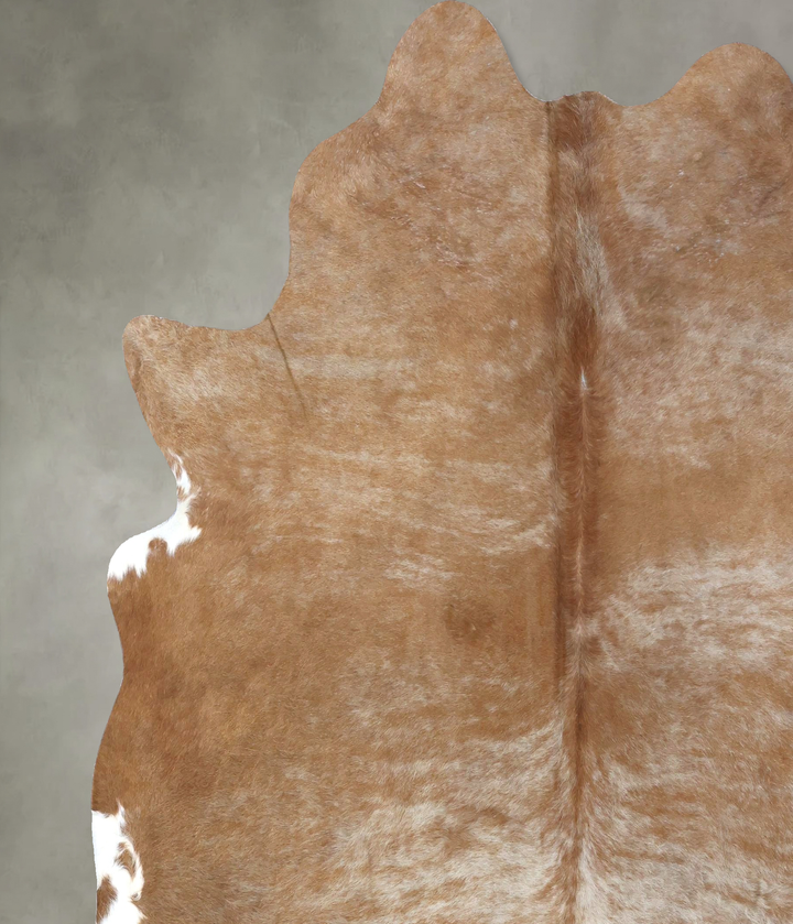 Light Caramel XX-Large Brazilian Cowhide Rug 8'2"H x 7'1"W #B19853 by Hudson Hides