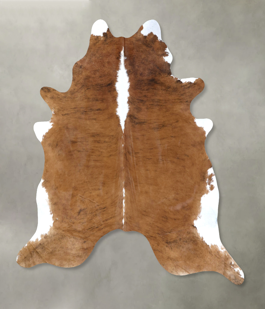 Medium Brindle XX-Large Brazilian Cowhide Rug 8'1"H x 7'3"W #B19860 by Hudson Hides