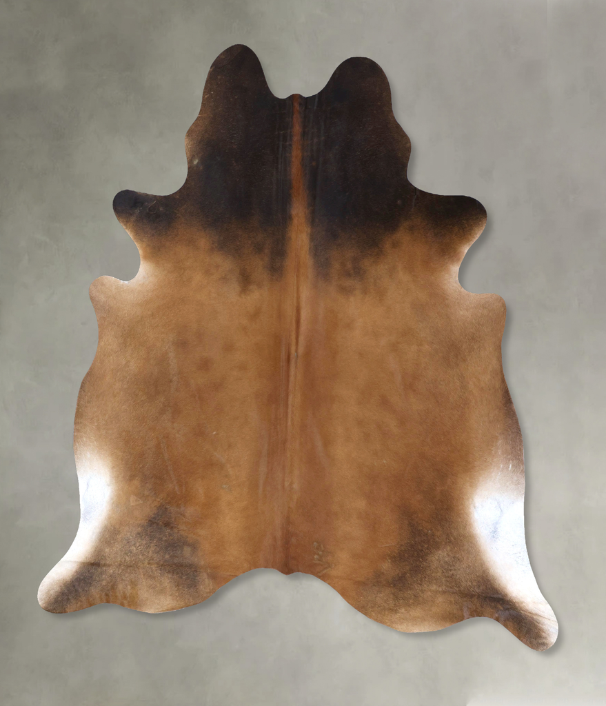 Warm Caramel XX-Large Brazilian Cowhide Rug 7'11"H x 7'1"W #B19862 by Hudson Hides
