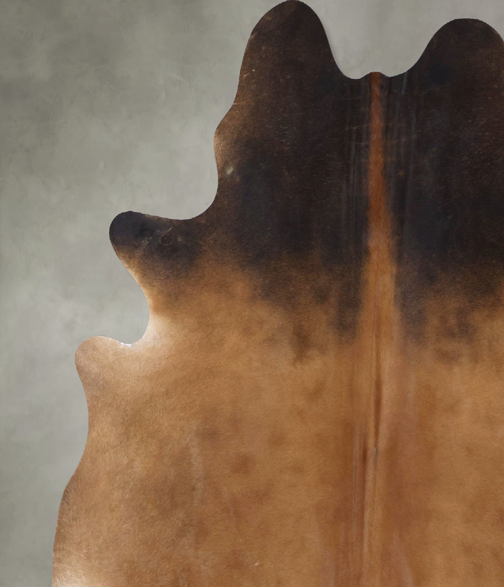 Warm Caramel XX-Large Brazilian Cowhide Rug 7'11"H x 7'1"W #B19862 by Hudson Hides