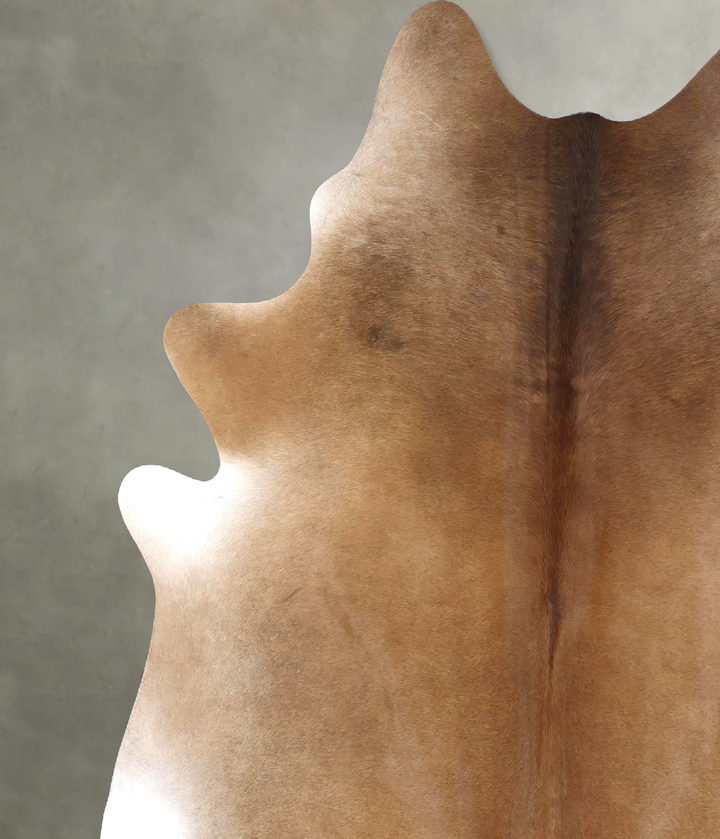 Light Caramel XX-Large Brazilian Cowhide Rug 8'0"H x 7'3"W #B19863 by Hudson Hides