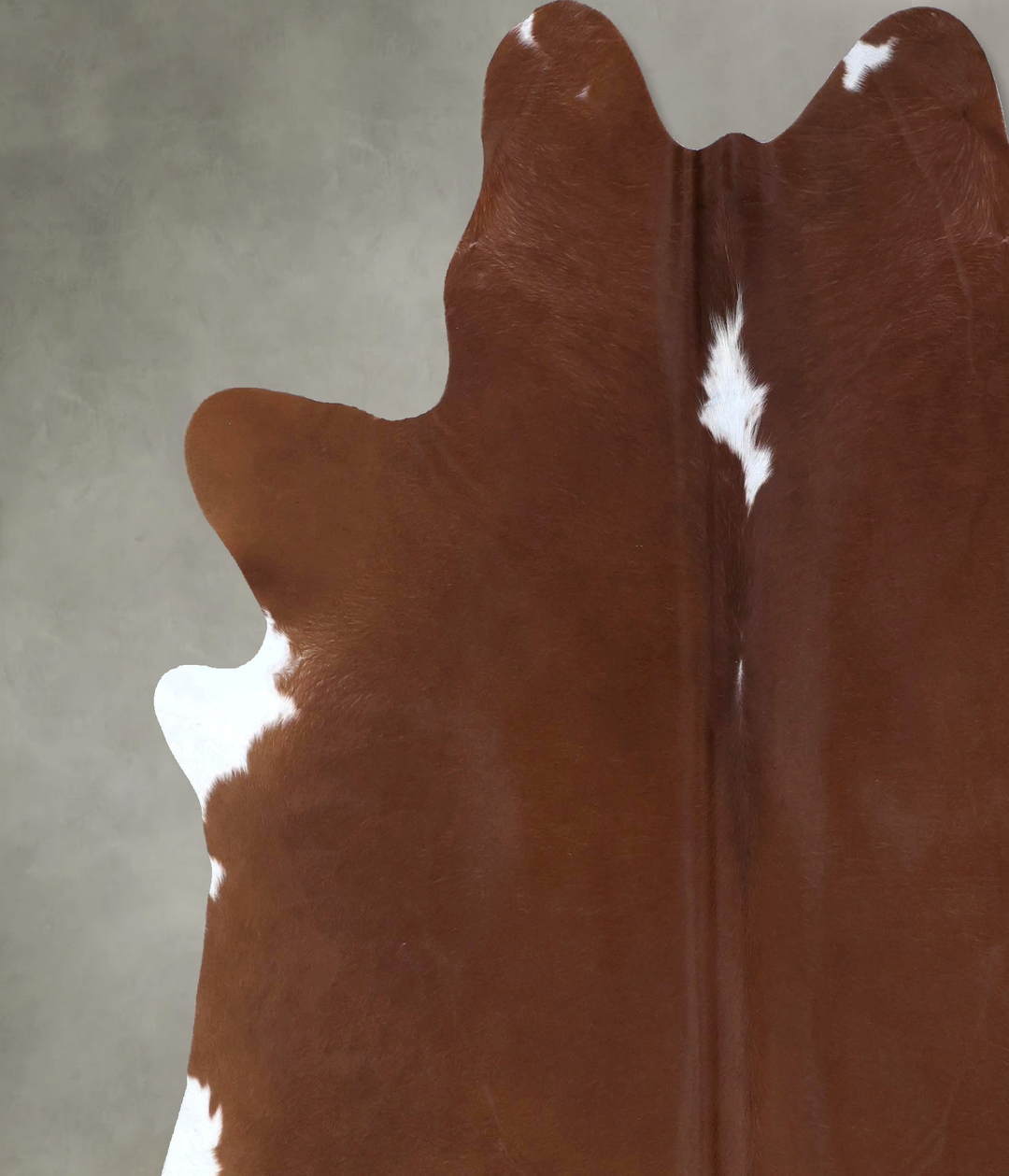 Brown and White Regular XX-Large Brazilian Cowhide Rug 7'5"H x 7'1"W #