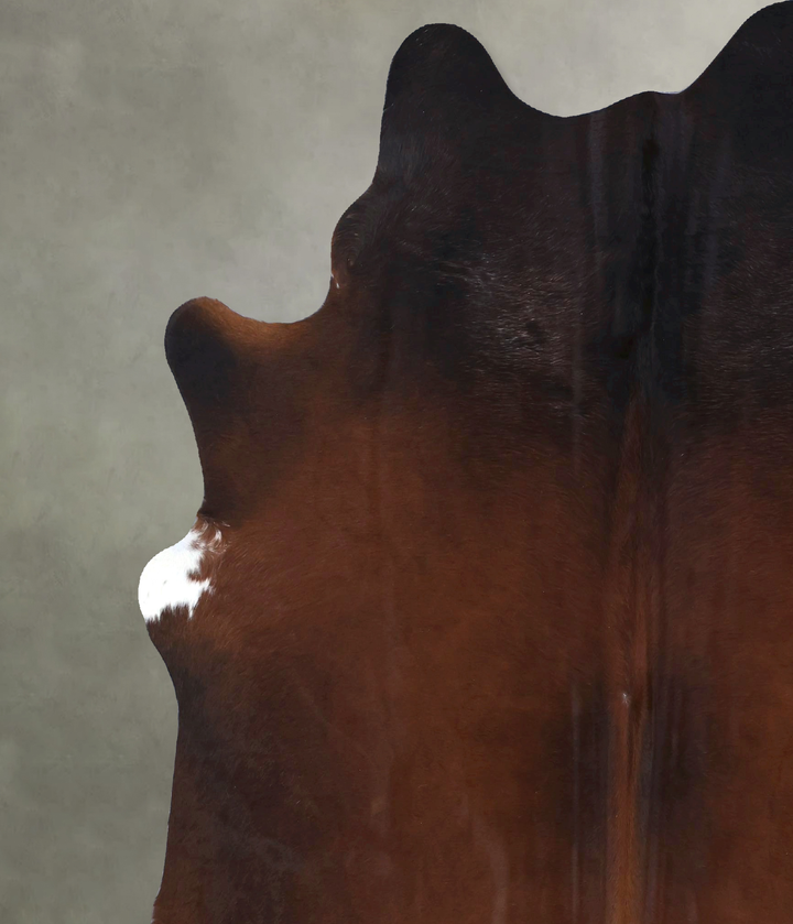 Warm Caramel XX-Large Brazilian Cowhide Rug 8'0"H x 6'10"W #B19867 by Hudson Hides