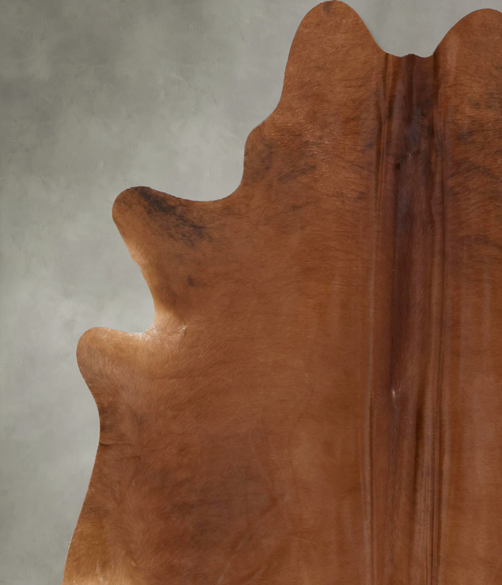 Medium Brindle XX-Large Brazilian Cowhide Rug 7'9"H x 7'3"W #B19872 by Hudson Hides