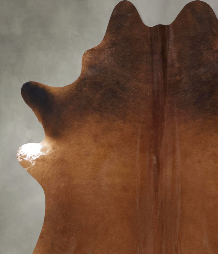 Warm Caramel XX-Large Brazilian Cowhide Rug 7'11"H x 6'11"W #B19873 by Hudson Hides