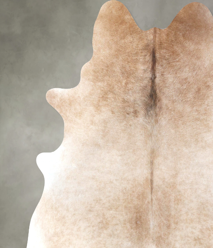 Light Caramel XX-Large Brazilian Cowhide Rug 7'10"H x 7'0"W #B19874 by Hudson Hides