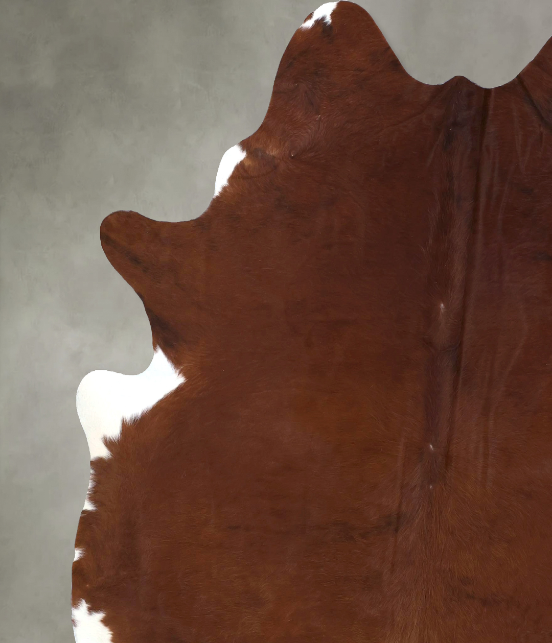 Medium Brindle XX-Large Brazilian Cowhide Rug 8'3"H x 6'11"W #B19878 b