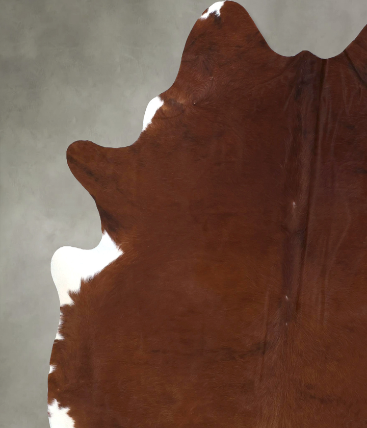 Medium Brindle XX-Large Brazilian Cowhide Rug 8'3"H x 6'11"W #B19878 by Hudson Hides