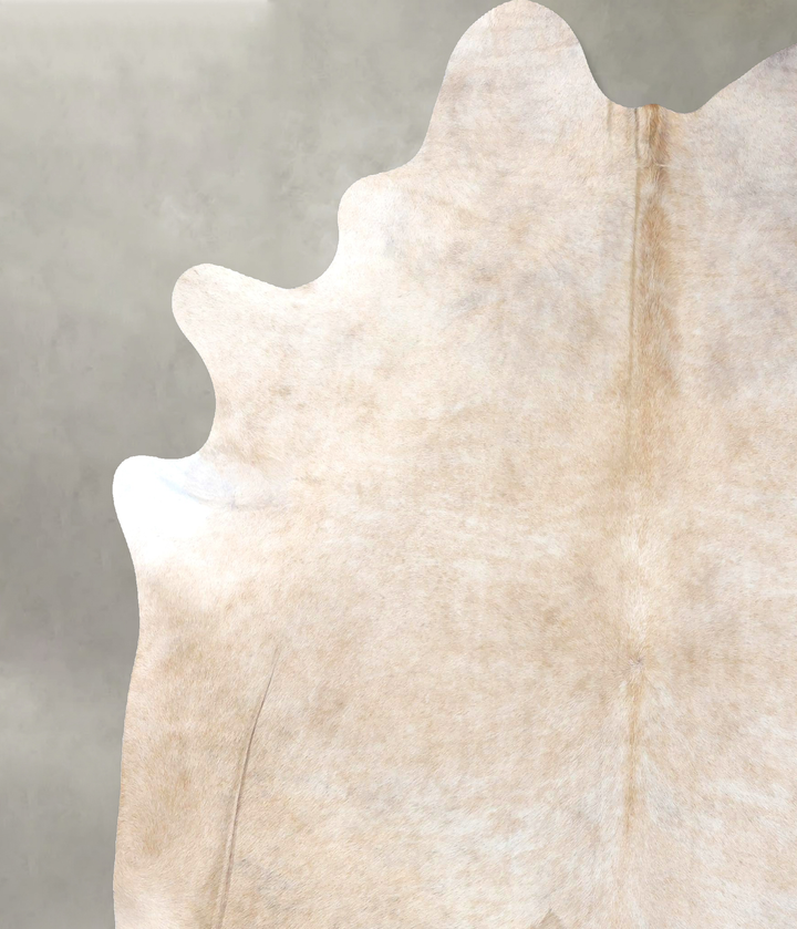 Beige XX-Large Brazilian Cowhide Rug 8'3"H x 6'10"W #B19879 by Hudson Hides