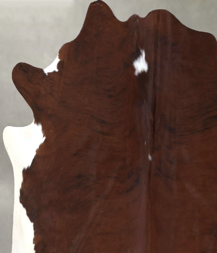 Medium Brindle X-Large Brazilian Cowhide Rug 6'11"H x 7'0"W #B19882 by Hudson Hides