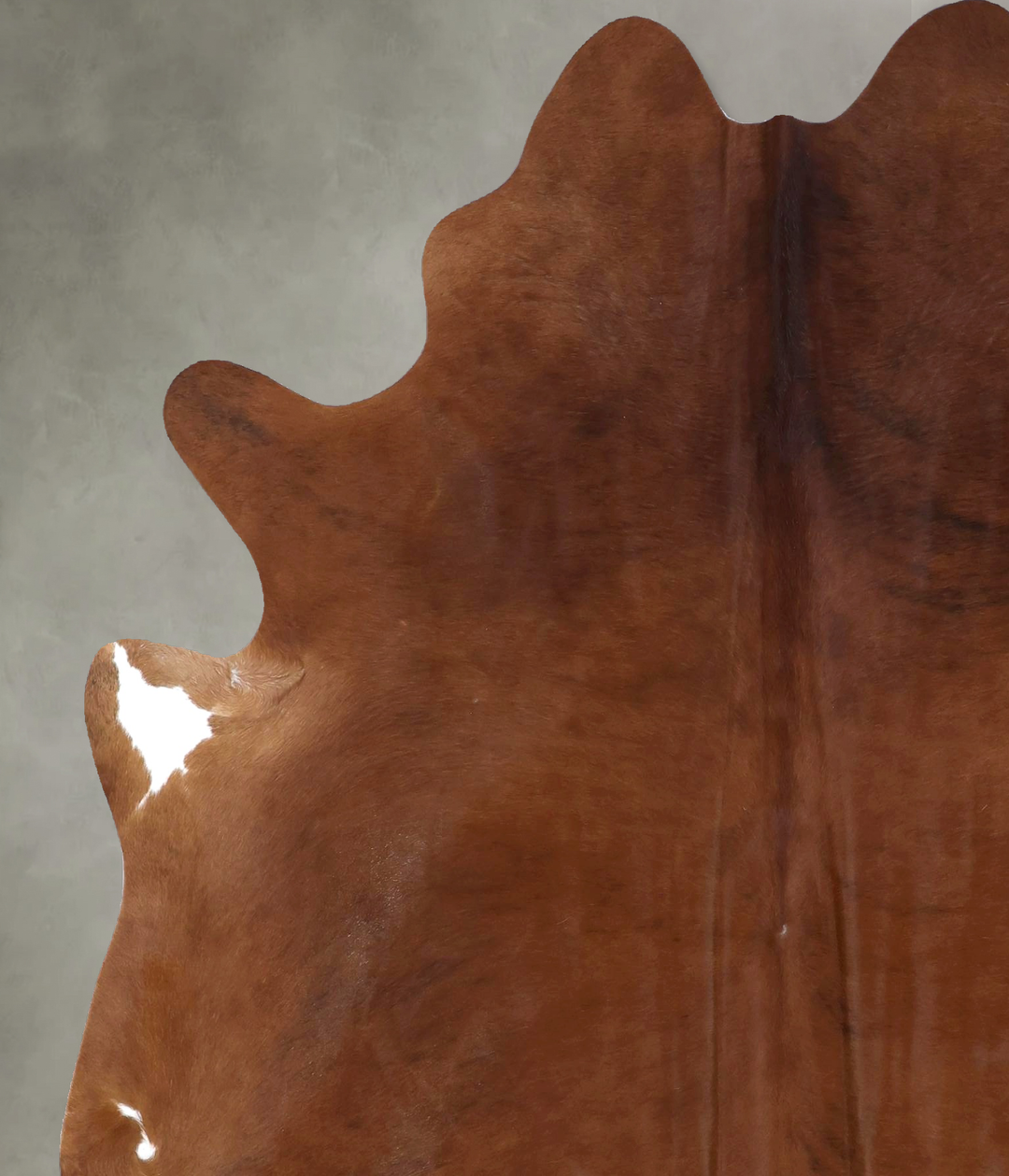 Medium Brindle X-Large Brazilian Cowhide Rug 7'4"H x 6'0"W #B19885 by 