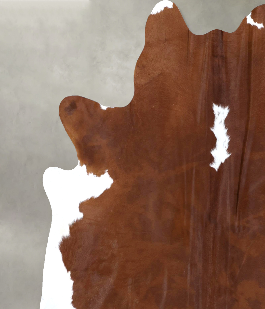 Brown and White Regular X-Large Brazilian Cowhide Rug 7'3"H x 6'3"W #B