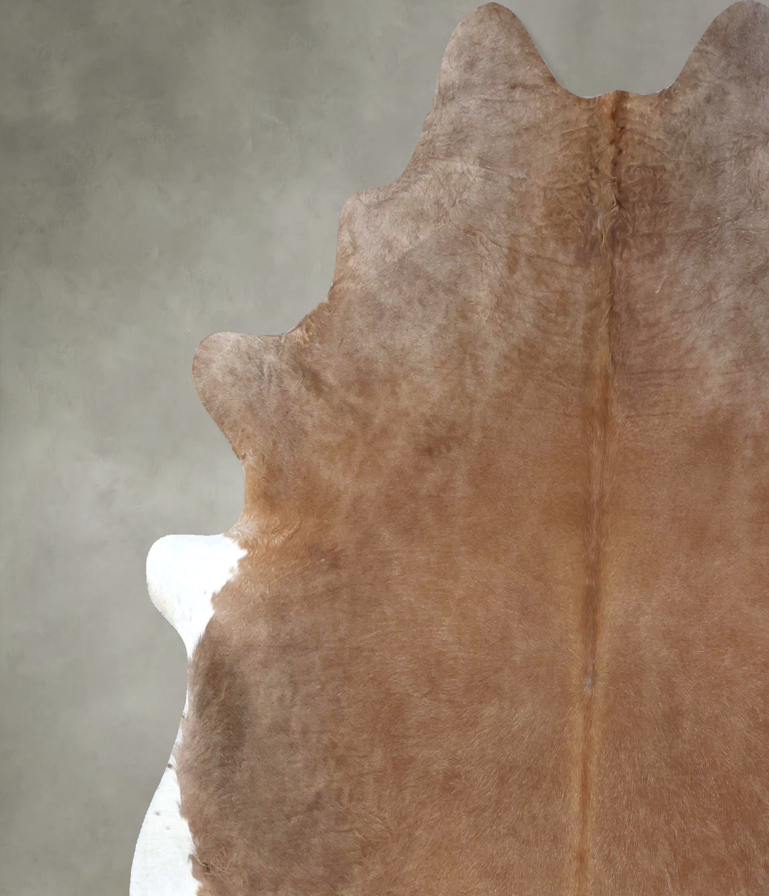 Light Caramel XX-Large Brazilian Cowhide Rug 7'11"H x 7'3"W #B19894 by