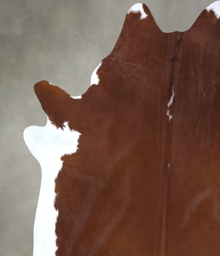 Brown and White Regular XX-Large Brazilian Cowhide Rug 8'6"H x 7'5"W #B19898 by Hudson Hides
