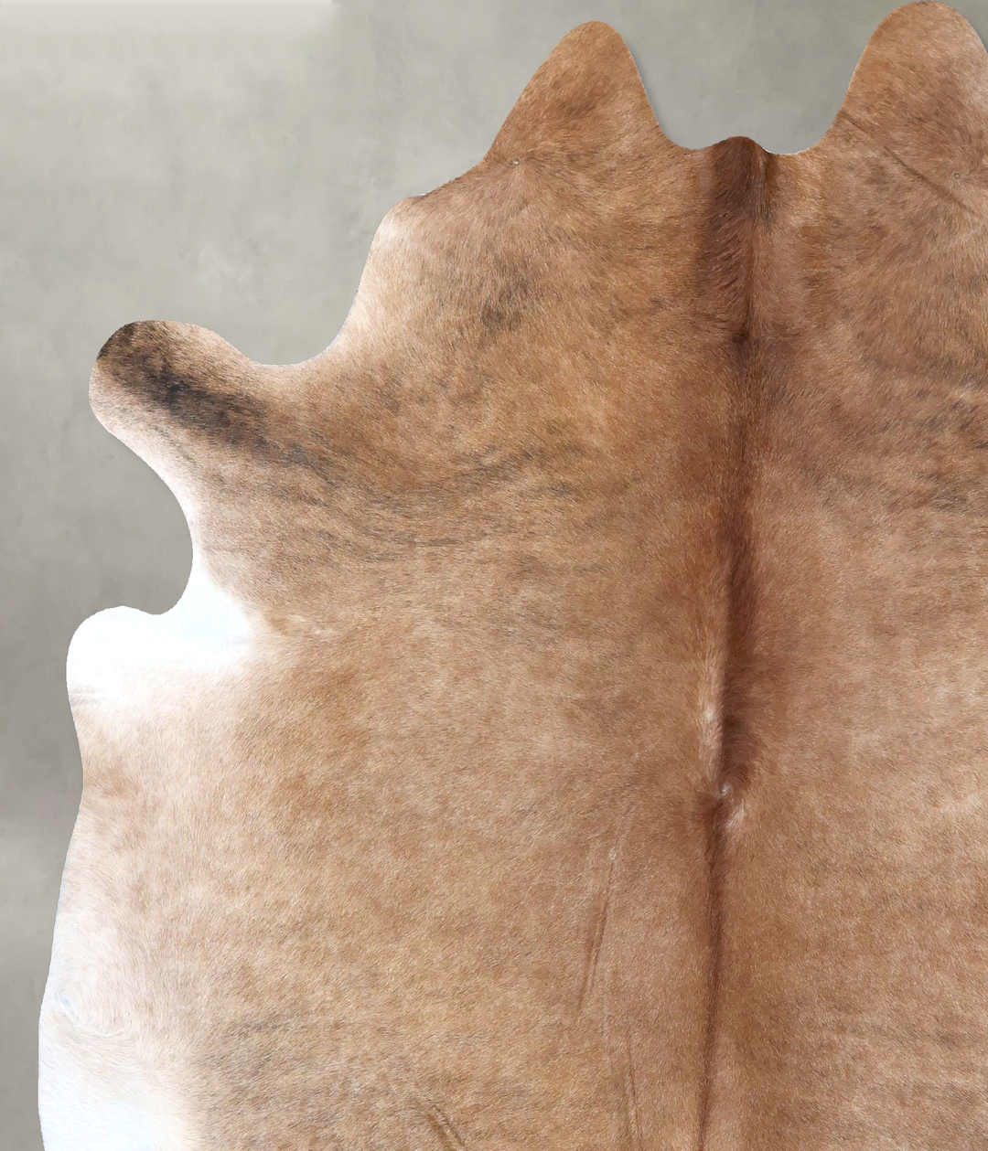 Light Caramel XX-Large Brazilian Cowhide Rug 8'0"H x 6'10"W #B19900 by