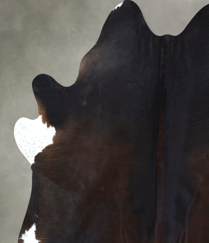 Chocolate XX-Large Brazilian Cowhide Rug 8'5"H x 6'7"W #B19905 by Hudson Hides
