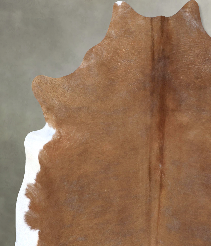 Light Caramel XX-Large Brazilian Cowhide Rug 8'3"H x 6'10"W #B19908 by Hudson Hides