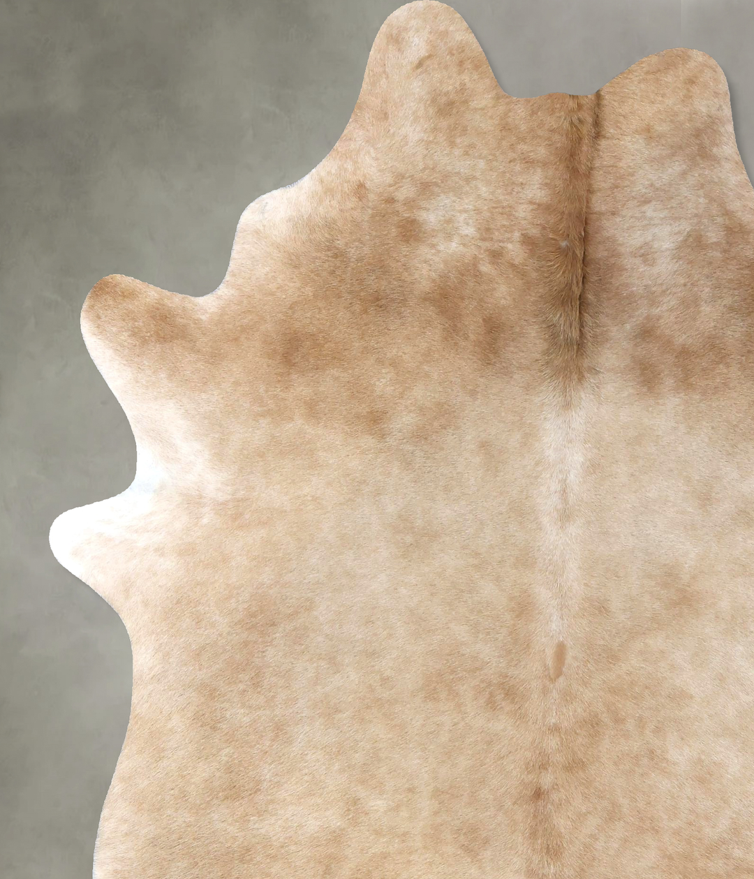 Beige X-Large Brazilian Cowhide Rug 8'0"H x 6'3"W #B19921 by Hudson Hi