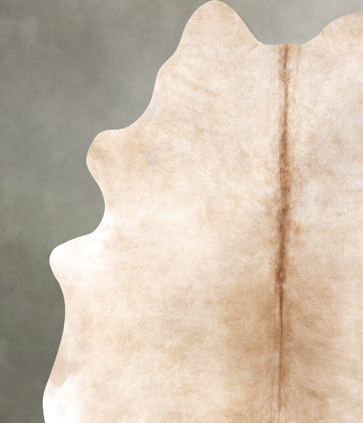Palomino XX-Large Brazilian Cowhide Rug 8'1"H x 6'11"W #B19931 by Hudson Hides