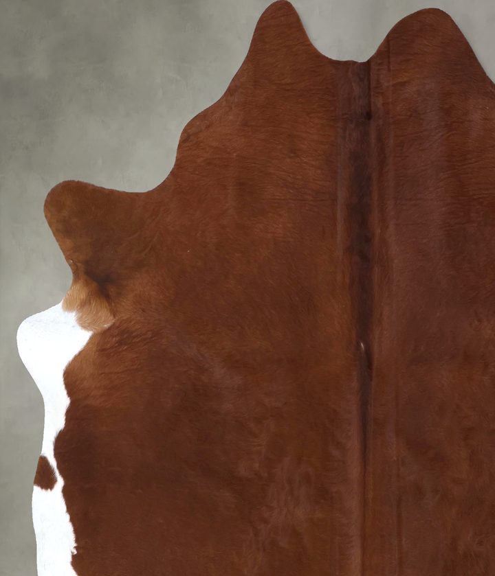 Solid Brown XX-Large Brazilian Cowhide Rug 8'1"H x 6'9"W #B19932 by Hudson Hides