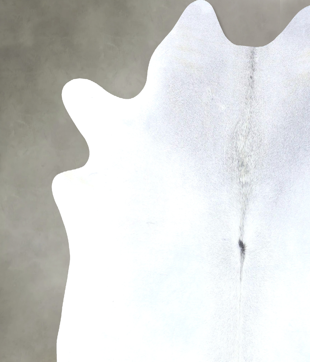 Light Grey XX-Large Brazilian Cowhide Rug 8'0"H x 6'9"W #B19949 by Hud