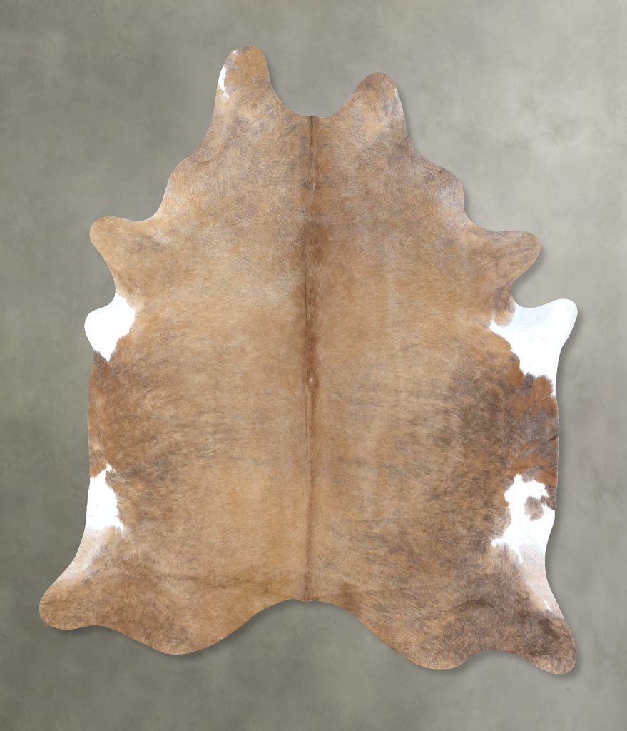 Light Caramel XX-Large Brazilian Cowhide Rug 8'2"H x 6'7"W #B19963 by Hudson Hides
