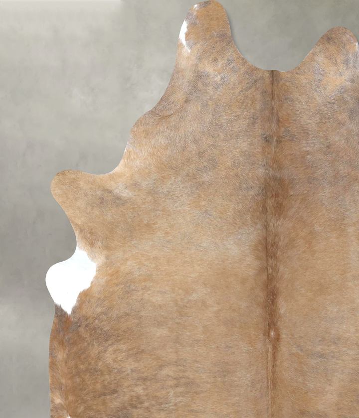 Light Caramel XX-Large Brazilian Cowhide Rug 8'2"H x 6'7"W #B19963 by Hudson Hides
