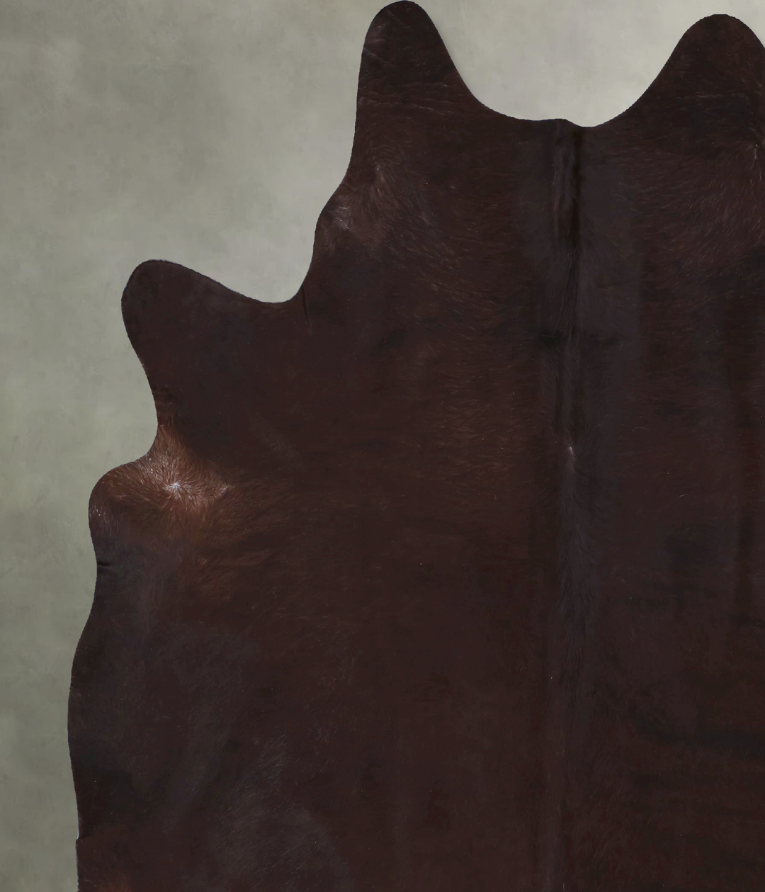 Warm Caramel XX-Large Brazilian Cowhide Rug 8'3"H x 7'0"W #B19964 by H