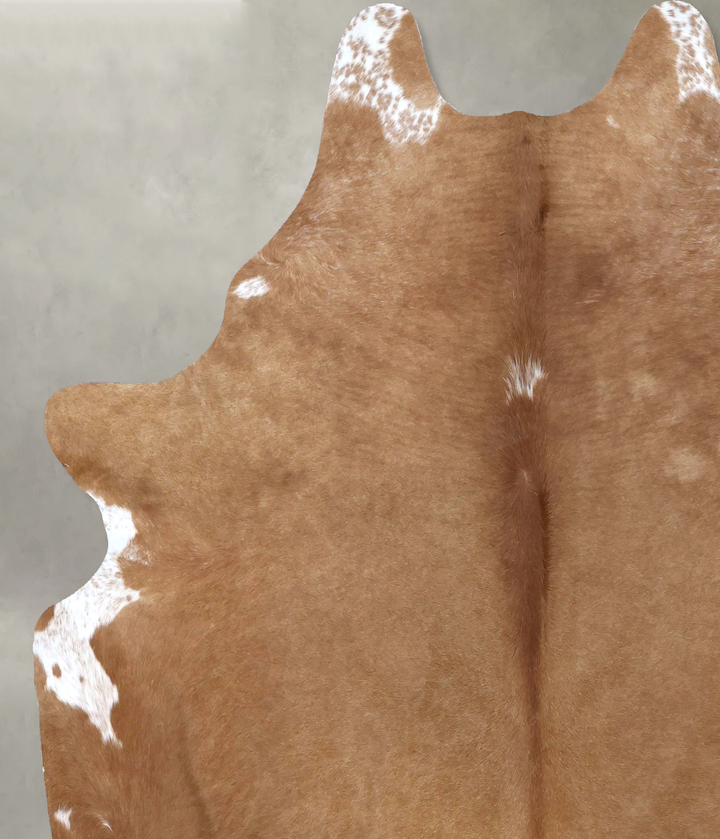 Solid Brown X-Large Brazilian Cowhide Rug 7'5"H x 6'4"W #B19965 by Hudson Hides
