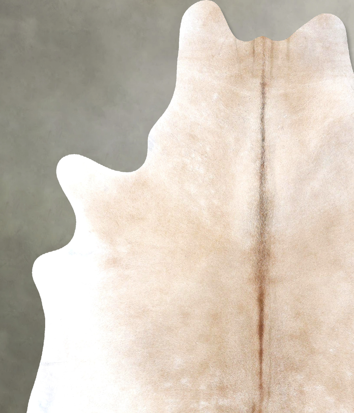 Ivory with Beige XX-Large Brazilian Cowhide Rug 8'2"H x 6'5"W #B19966 by Hudson Hides