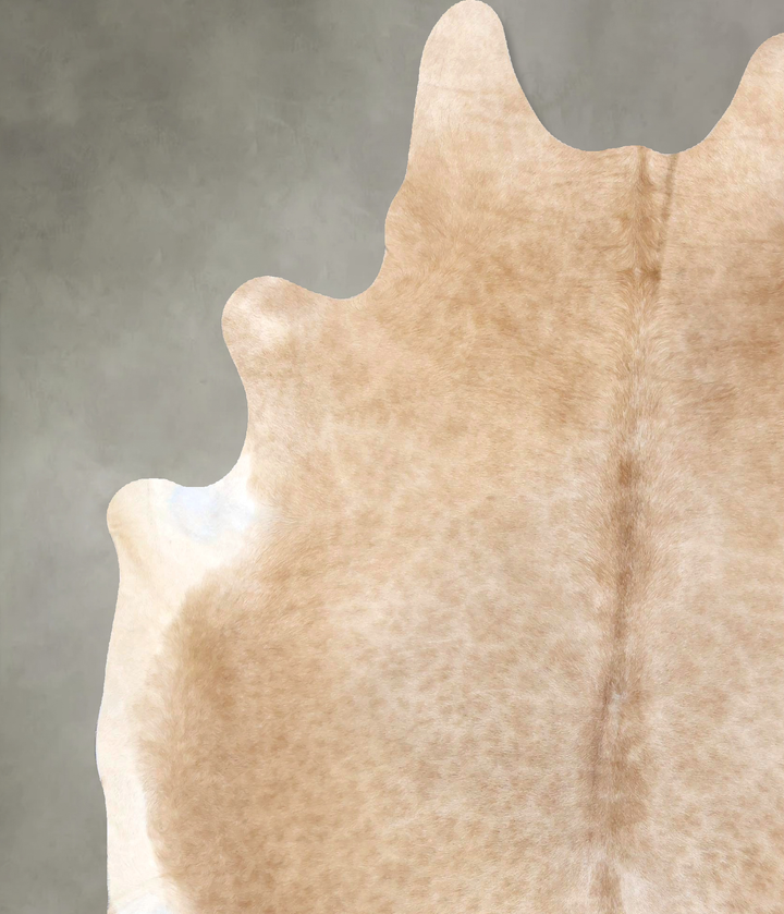 Beige XX-Large Brazilian Cowhide Rug 7'11"H x 6'6"W #B19968 by Hudson Hides