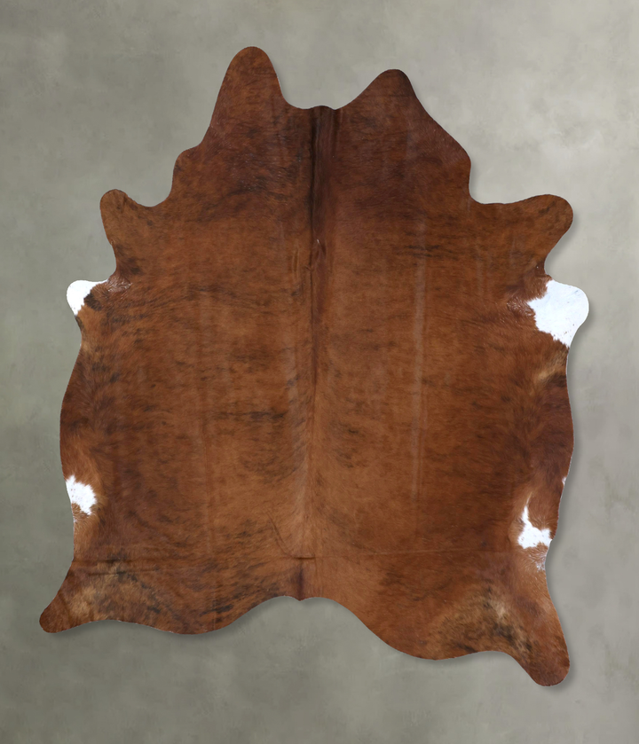 Medium Brindle XX-Large Brazilian Cowhide Rug 7'9"H x 6'5"W #B19977 by Hudson Hides