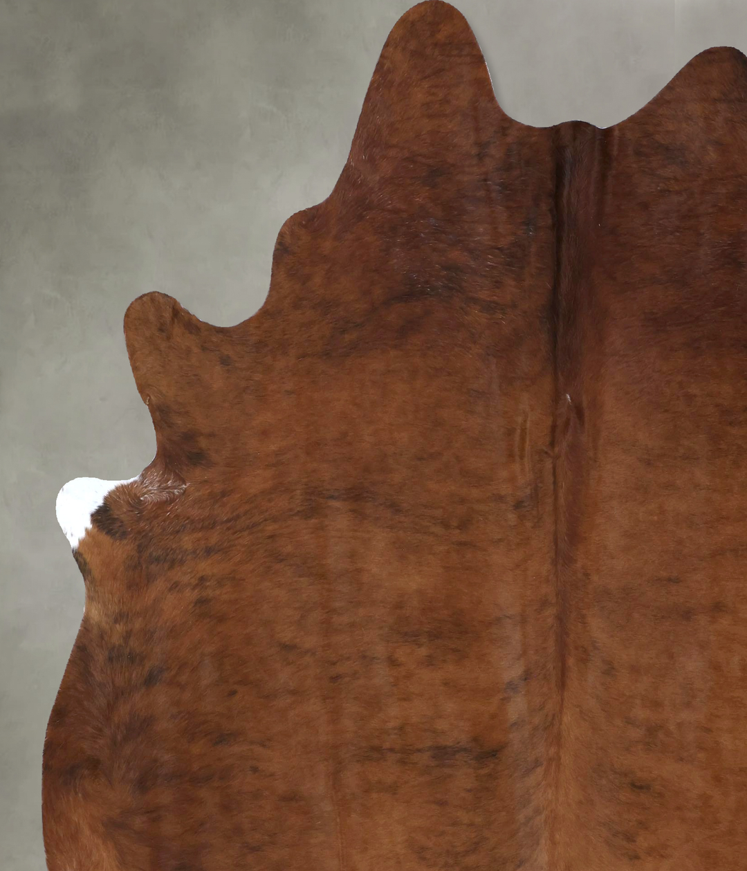 Medium Brindle XX-Large Brazilian Cowhide Rug 7'9"H x 6'5"W #B19977 by