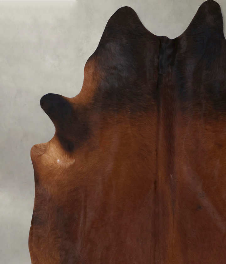 Warm Caramel XX-Large Brazilian Cowhide Rug 8'6"H x 7'0"W #B19980 by Hudson Hides