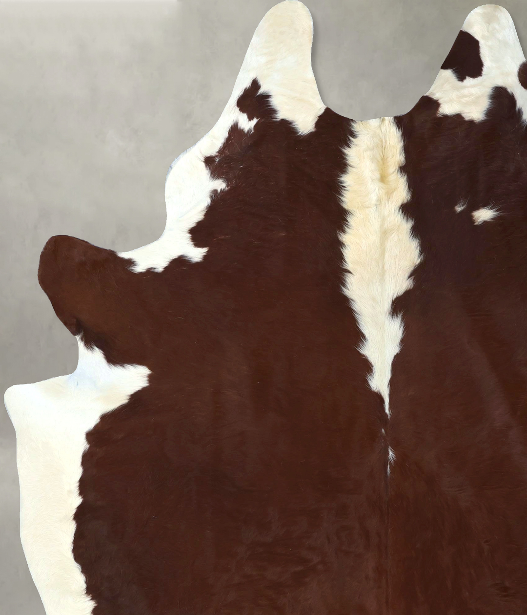 Hereford XX-Large Brazilian Cowhide Rug 9'1"H x 6'8"W #B19985 by Hudso