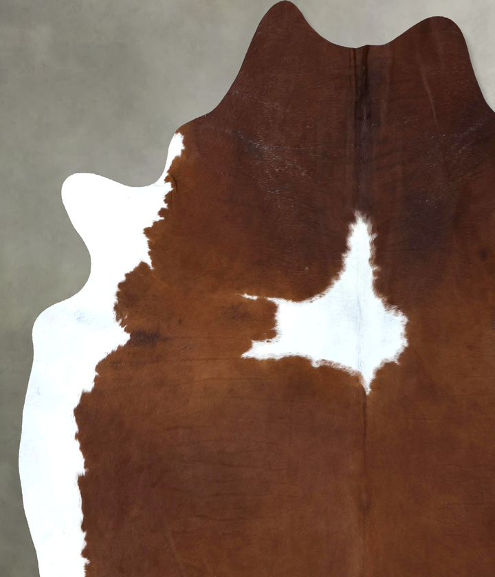 Brown and White XX-Large Brazilian Cowhide Rug 8'11"H x 7'7"W #B19986 by Hudson Hides