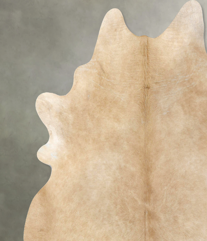 Palomino XX-Large Brazilian Cowhide Rug 8'1"H x 7'2"W #B19987 by Hudson Hides