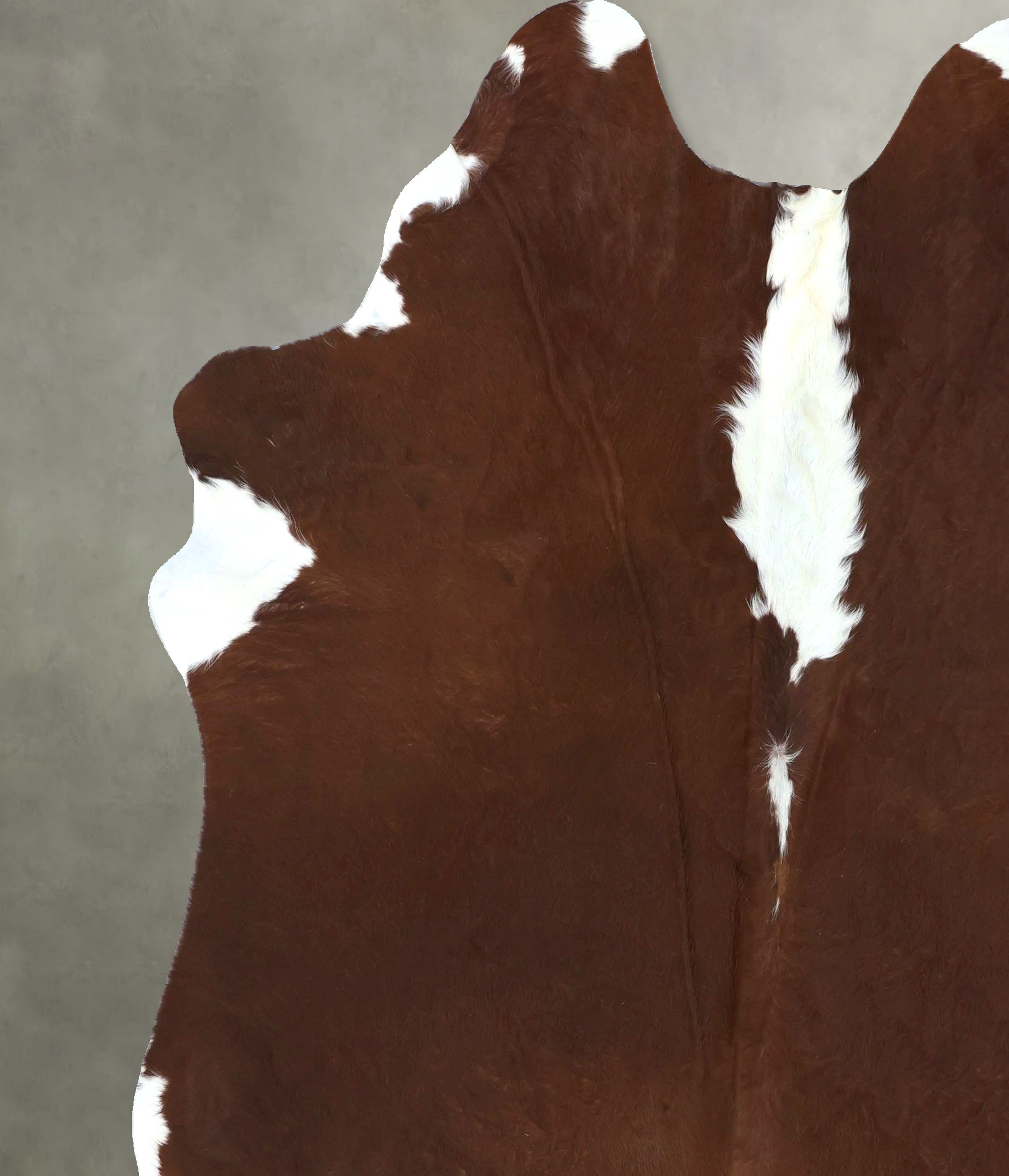 Hereford Cowhide Rug #B19990