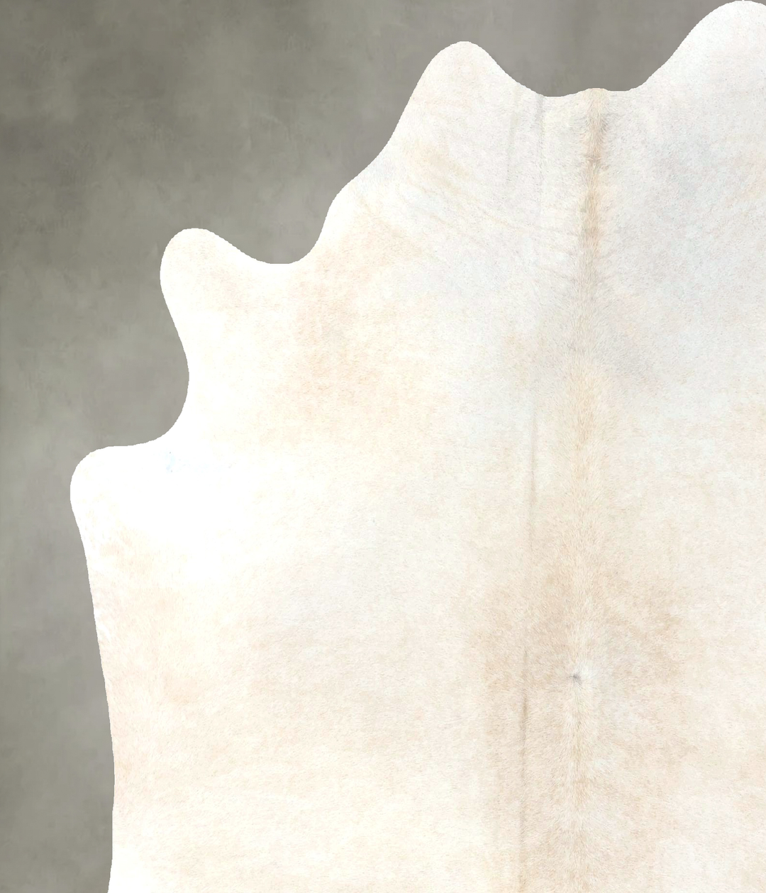 Ivory with Beige X-Large Brazilian Cowhide Rug 7'1"H x 6'2"W #B19992 b