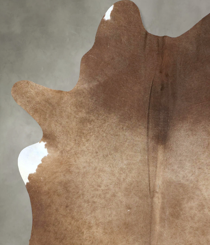 Chocolate X-Large Brazilian Cowhide Rug 8'2"H x 6'1"W #B19998 by Hudson Hides