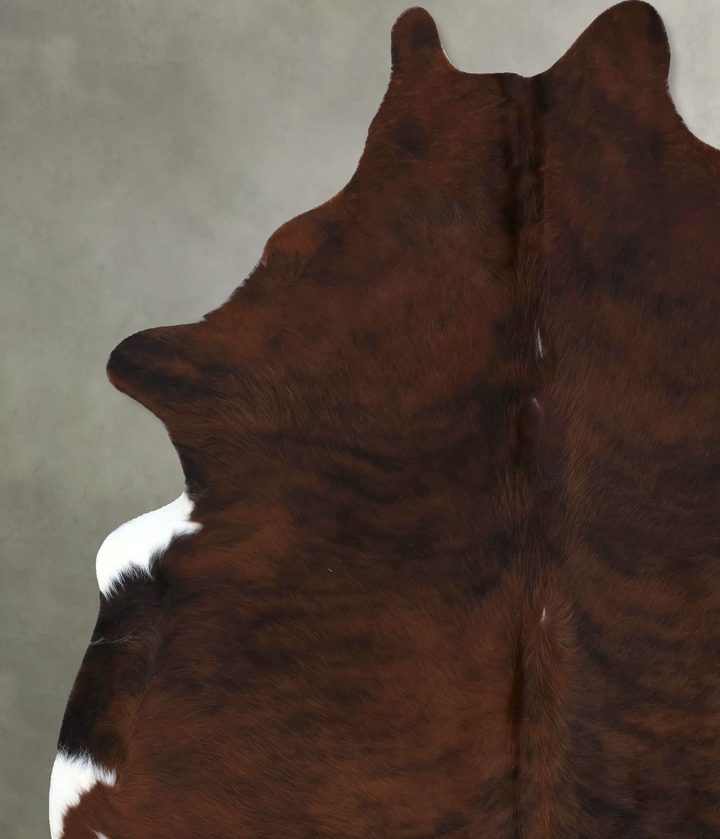 Dark Brindle XX-Large Brazilian Cowhide Rug 8'0"H x 6'6"W #B20001 by Hudson Hides